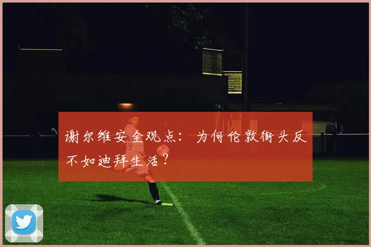 谢尔维安全观点:为何伦敦街头反不如迪拜生活?