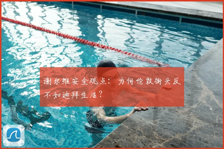 谢尔维安全观点:为何伦敦街头反不如迪拜生活?